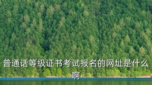 普通話等級證書考試報名的網址是什么啊