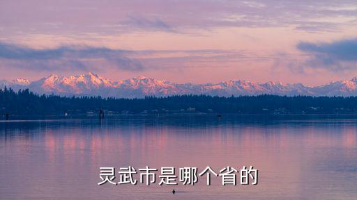 靈武市，寧夏靈武屬于哪里管