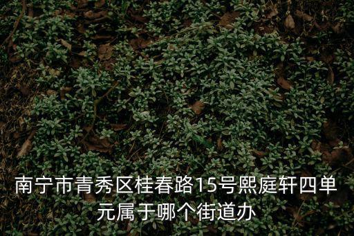 南寧市青秀區，南寧青秀區現在發展怎么樣適合投資什么項目如題 謝謝了  問