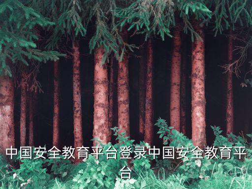 中國安全教育平臺登錄中國安全教育平臺