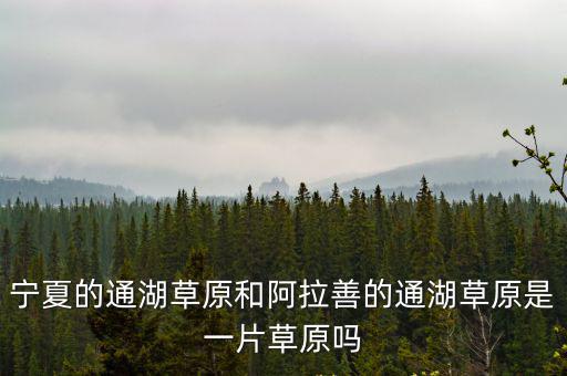 寧夏的通湖草原和阿拉善的通湖草原是一片草原嗎