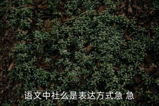 語(yǔ)文中社么是表達(dá)方式急 急