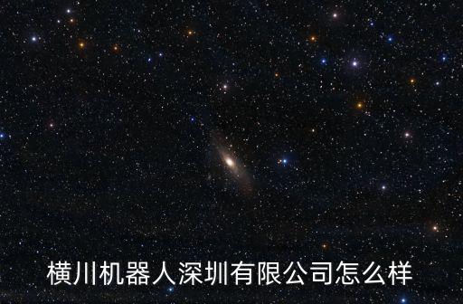 橫川機器人深圳有限公司怎么樣