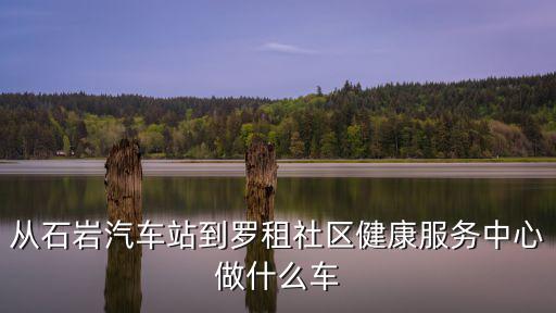 從石巖汽車站到羅租社區健康服務中心做什么車