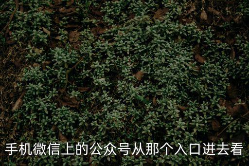 手機(jī)微信上的公眾號(hào)從那個(gè)入口進(jìn)去看