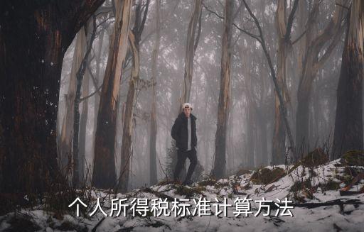 個人所得稅標準計算方法