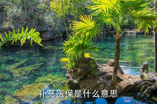 補(bǔ)充醫(yī)保，補(bǔ)充醫(yī)療保險(xiǎn)指的是什么