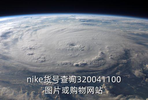 nike貨號查詢320041100圖片或購物網站