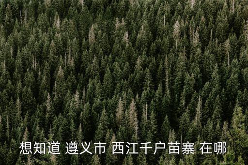想知道 遵義市 西江千戶苗寨 在哪