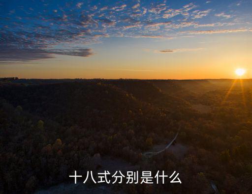 十八式分別是什么