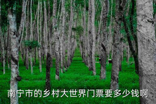 南寧鄉村大世界，南寧市的鄉村大世界門票要多少錢啊