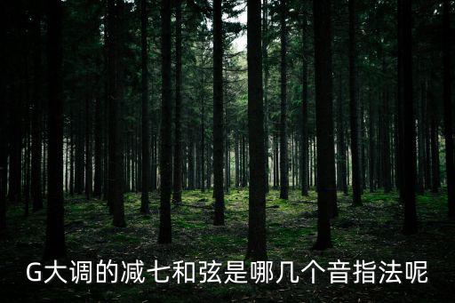 G大調的減七和弦是哪幾個音指法呢