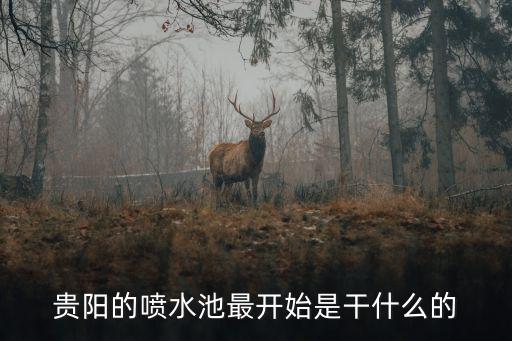 噴水池，貴陽的噴水池最開始是干什么的