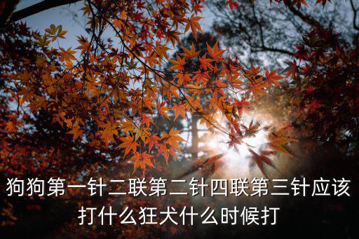 狗狗第一針二聯第二針四聯第三針應該打什么狂犬什么時候打