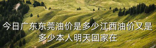 今日廣東油價，最新油價是多少93