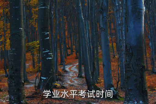 學(xué)業(yè)水平考試時間