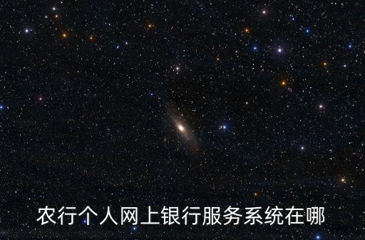 個人網上服務系統，農行個人網上銀行服務系統在哪