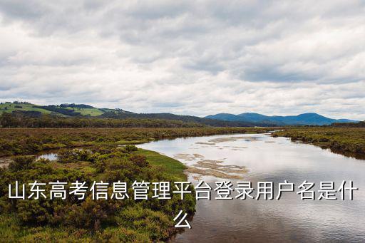 山東高考信息管理平臺(tái)登錄用戶名是什么