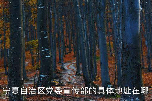 寧夏自治區黨委宣傳部的具體地址在哪