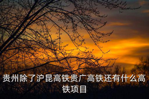 貴州除了滬昆高鐵貴廣高鐵還有什么高鐵項目