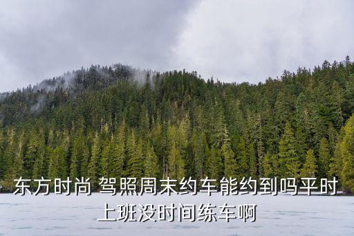 東方時尚 駕照周末約車能約到嗎平時上班沒時間練車啊