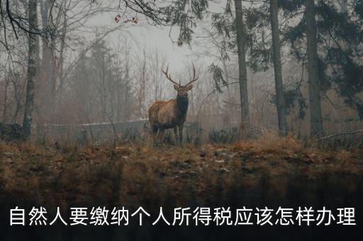 自然人要繳納個(gè)人所得稅應(yīng)該怎樣辦理