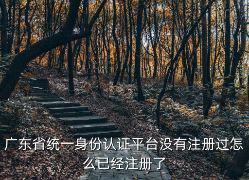 廣東省統(tǒng)一身份認(rèn)證平臺沒有注冊過怎么已經(jīng)注冊了