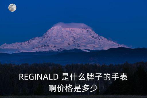 REGINALD 是什么牌子的手表啊價格是多少