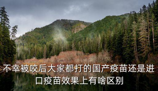 北京科興中維新冠疫苗，不幸被咬后大家都打的國產疫苗還是進口疫苗效果上有啥區別
