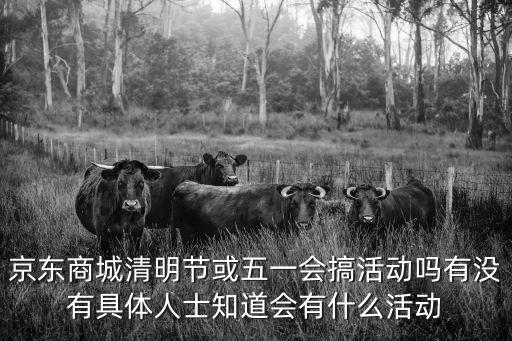 京東商城清明節或五一會搞活動嗎有沒有具體人士知道會有什么活動