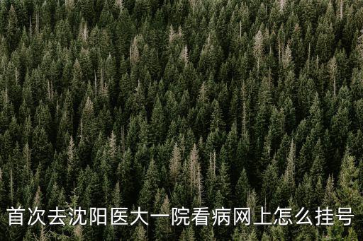 首次去沈陽醫(yī)大一院看病網(wǎng)上怎么掛號(hào)
