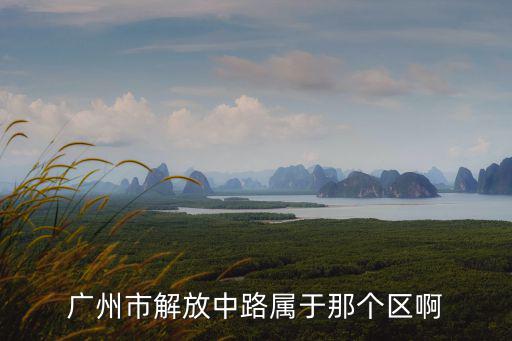 廣州市解放中路屬于那個區啊