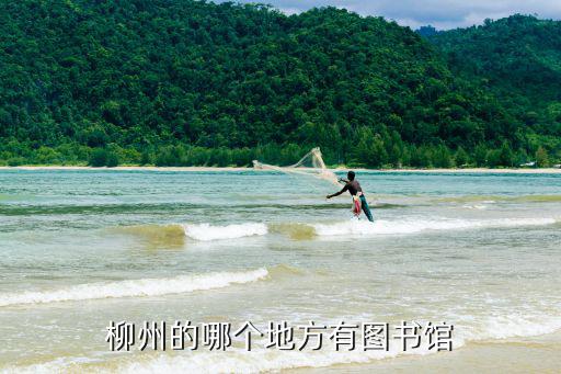 柳州的哪個地方有圖書館