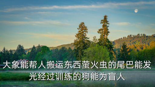 大象能幫人搬運東西螢火蟲的尾巴能發光經過訓練的狗能為盲人