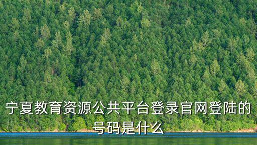 寧夏教育云平臺(tái)登錄入口，百事通教育平臺(tái)登錄