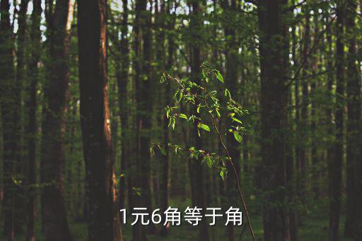 1元6角等于角
