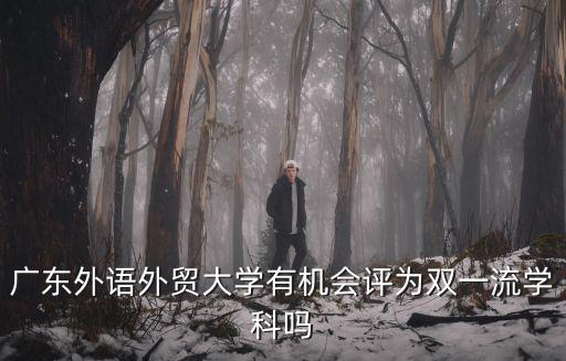 廣東外語外貿(mào)大學有機會評為雙一流學科嗎
