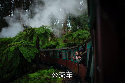 公交詩情，公交車