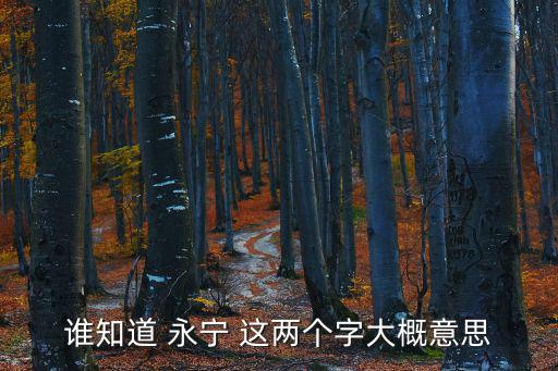 永寧，誰知道 永寧 這兩個字大概意思