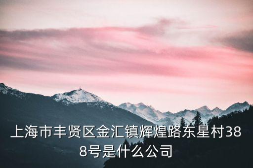 上海市豐賢區(qū)金匯鎮(zhèn)輝煌路東星村388號(hào)是什么公司