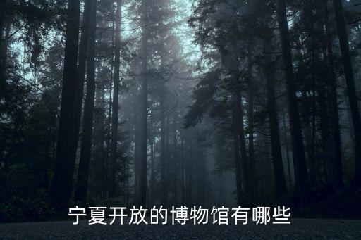 寧夏地質博物館，寧夏開放的博物館有哪些
