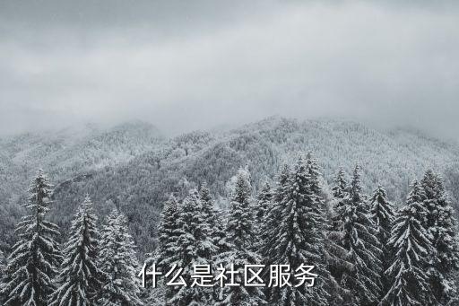 什么是社區服務