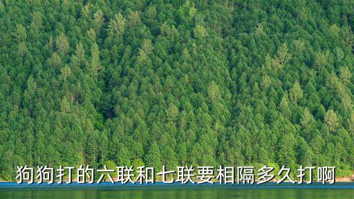 狗狗打的六聯(lián)和七聯(lián)要相隔多久打啊