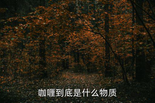 咖喱到底是什么物質