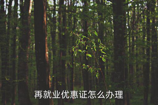 再就業優惠證，再就業優惠證怎么辦理