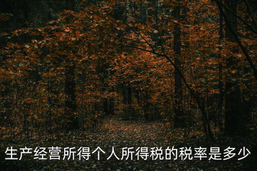 生產(chǎn)經(jīng)營(yíng)所得個(gè)人所得稅的稅率是多少