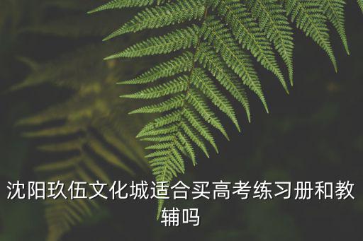 沈陽玖伍文化城適合買高考練習(xí)冊和教輔嗎