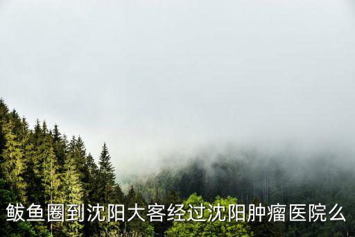 鲅魚圈到沈陽(yáng)大客經(jīng)過沈陽(yáng)腫瘤醫(yī)院么