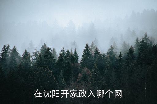 沈陽家政網，在沈陽開家政入哪個網