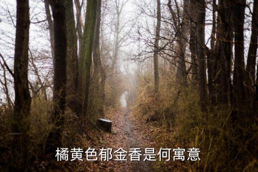 橙色郁金香，橙色的郁金香代表什么